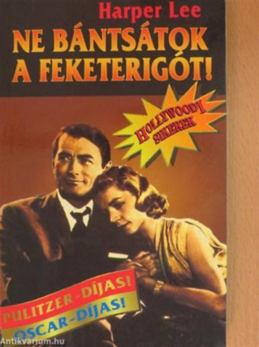 Harper Lee - Ne bntstok a feketerigt!