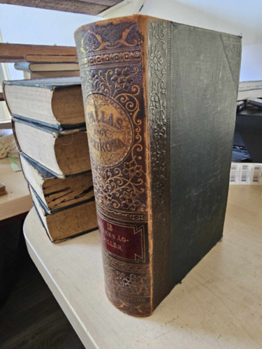 A Pallas nagy lexikona XIII. k�tet - 13. (Nemes �g-Pill�r)