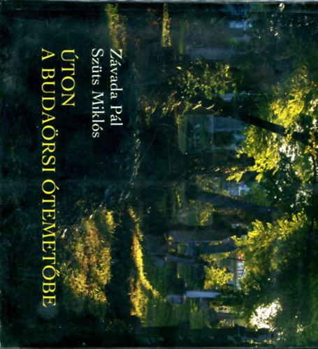 Závada Pál Fotó Szüts Miklós - Úton a Budaörsi Ótemetőbe