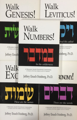 5 Jeffrey Enoch Feinberg book - The Walk Set
