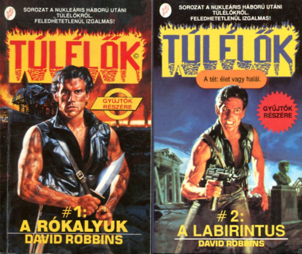 David Robbins - Tllk 1-2 : A labirintus - A rkalyuk