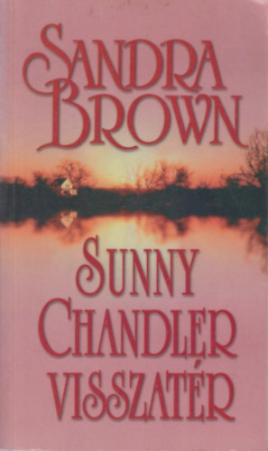 Sandra Brown - Sunny Chandler visszatér