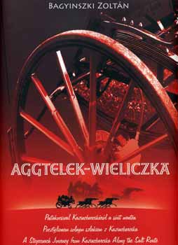 Bagyinszki Zoltn - Aggtelek - Wielicka