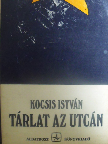 Kocsis István - Tárlat az utcán