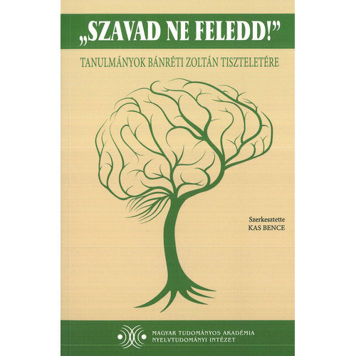 Kas Bence - A mondat informcis szerkezete
