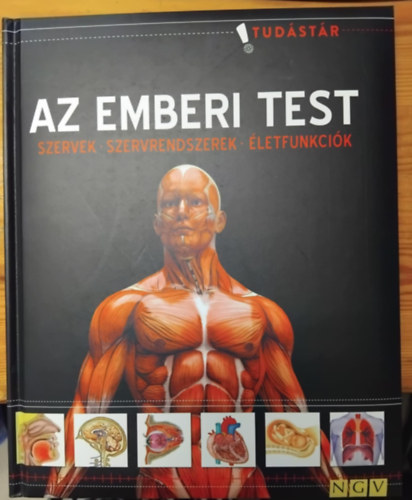 Az emberi test (Szervek, szervrendszerek, letfunkcik)- Tudstr