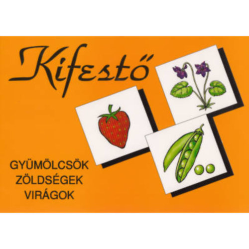 Szekeres Zsuzsa - Kifestőkönyv a gyűjtőfogalmak gyakorlásához