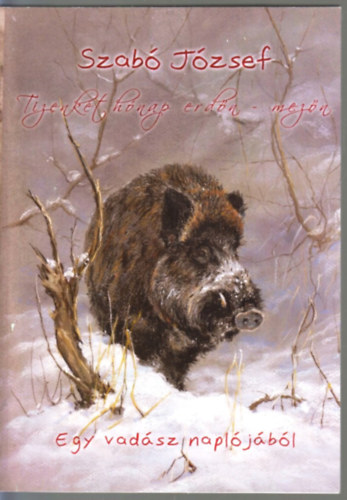 Szab� J�zsef - Tizenk�t h�nap erd�n-mez�n
