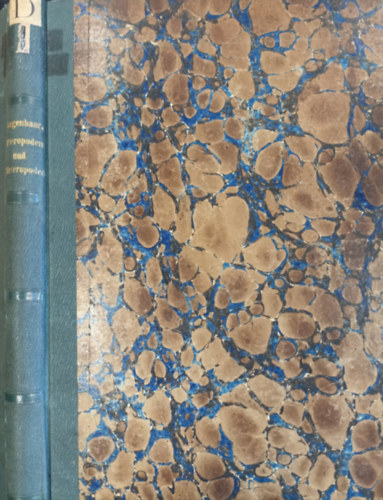 Dr. Karl Gegenbaur - Untersuchungen über Pteropoden und Heteropoden