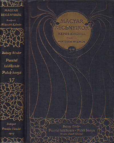 Baksay Sándor - Pusztai találkozás - Patak banya