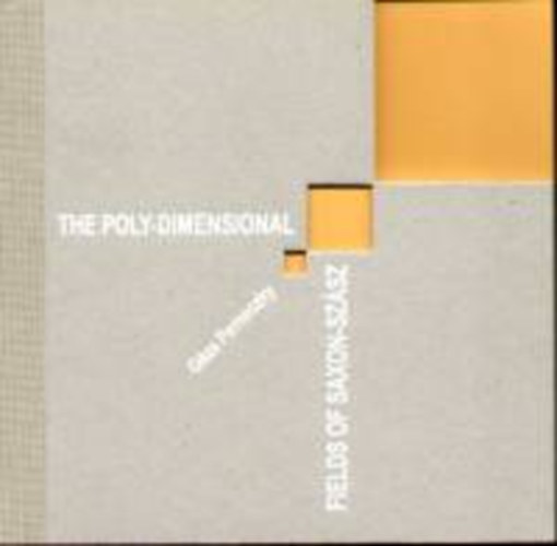 Perneczky Gza - The Poly Dimensional Fields of Saxon-Szsz