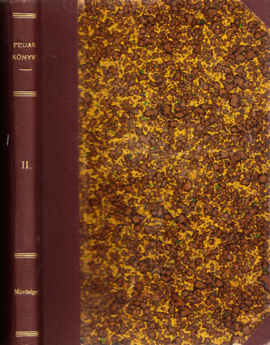 Birk�s G�za - Montaigne pedag�giai tanulm�nyai (Pedag�giai k�nyvt�r II.)