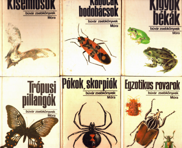 dr. Vsrhelyi Tams-Csiby M., Janisch Mikls, Schmidt Egon, Szalkay Jzsef Mszros Zoltn - 6 db Bvr zsebknyv: Pkok, skorpik + Kisemlsk +Kabck bodobcsok + Kgyk bkk + Egzotikus rovarok + Trpusi pillangk