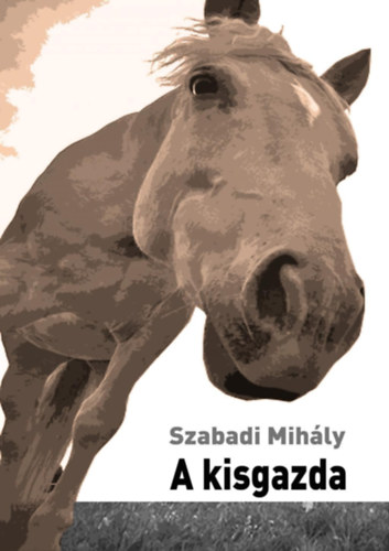 Szabadi Mihly - A kisgazda