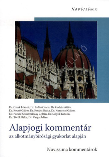 Csink Lóránt - Alapjogi kommentár az alkotmánybírósági gyakorlat alapján