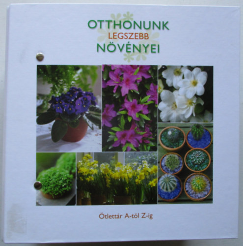 Otthonunk legszebb növényei