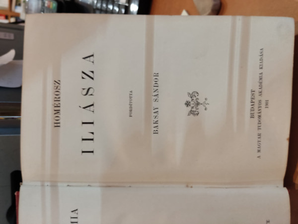 Hom�rosz - Hom�rosz Ili�sza (Baksay S�ndor ford�t�sa)