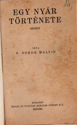 S. Bokor Malvin - Egy nyár története