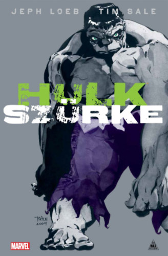 Jeph Loeb - Hulk: Szrke