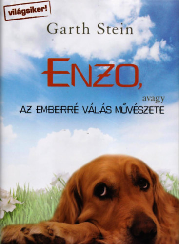 Garth Stein - Enzo, avagy az emberr vls mvszete