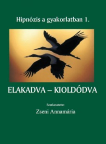 Zseni Annamária - Elakadva - kioldódva