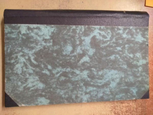 Ambrozovics Meszl�nyi Ilona - Hajnalka