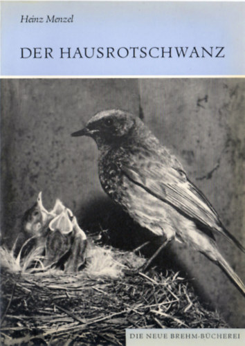 Heinz Menzel - Der Hausrotschwanz (Phoenicurus ochruros)