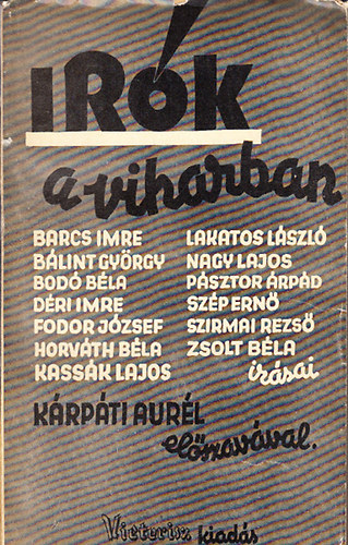 Irk a viharban