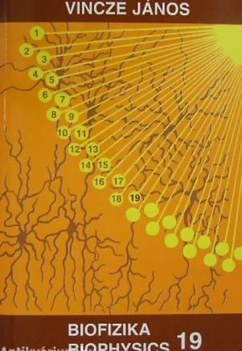 Vincze János - Biofizika 19 Biophysics