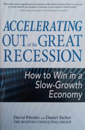 Daniel Stelter David Rhodes - Accelerating out of the Great Recession