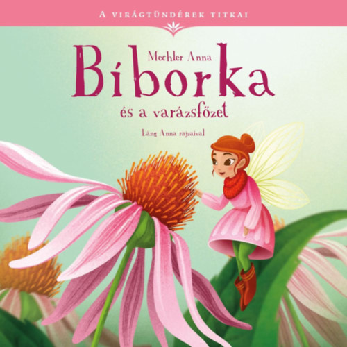 Mechler Anna - Bborka s a varzsfzet