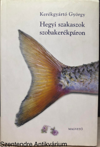 Szerk.: Boldizsár Ildikó Kerékgyártó György - Hegyi szakaszok szobakerékpáron (Saját képpel)