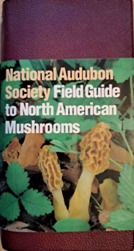 Gary H. Lincoff - National Audubon Society Field Guide to North American Mushrooms (szak-amerikai gombk tmutatja)