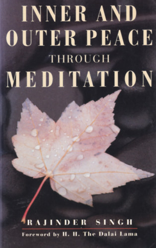 Rajinder Singh - Inner and Outer Peace Through Meditation