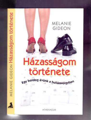 Melanie Gideon - Hzassgom trtnete (Egy boldog vnk a hullmvlgyben)