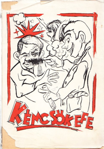 Kémcsőkefe (a Veszprémi Vegyipari Egyetem sokévenként megjelenő évkönyve az 1963-ban végzettek gondozásában)