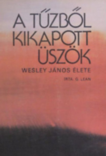 Garth Lean - A tzbl kikapott szk - Wesley Jnos lete