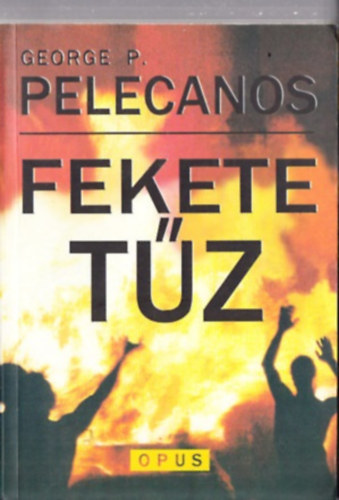 George P. Pelecanos - Fekete tűz