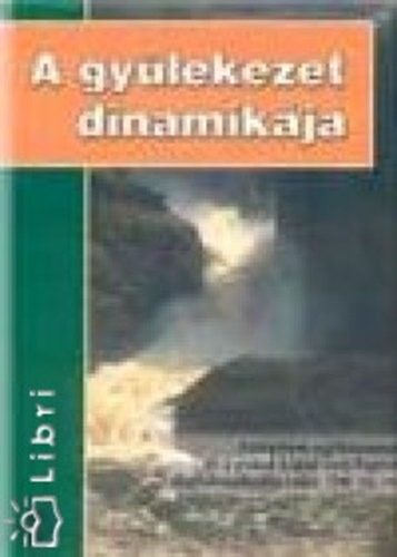 A gy�lekezet dinamik�ja