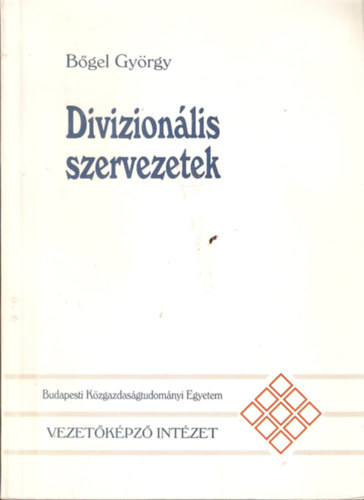 Bőgel György - Divizionális szervezetek
