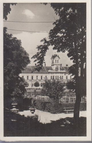 Sepsiszentgy�rgy, Park r�szlet (fot�lap, r�gi k�peslap)