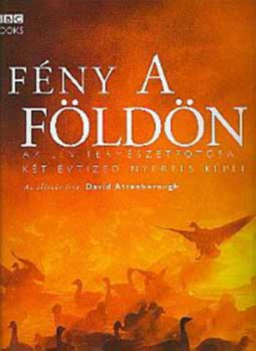 Alexandra Kiadó - Fény a Földön