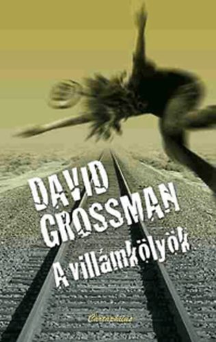 David Grossman - A villámkölyök