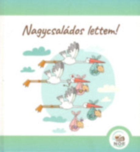 Vida Márta (Szerk.) - Nagycsaládos lettem!