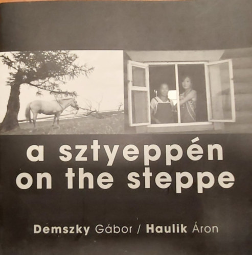 Haulik ron Demszky Gbor - A sztyeppn - On the steppe