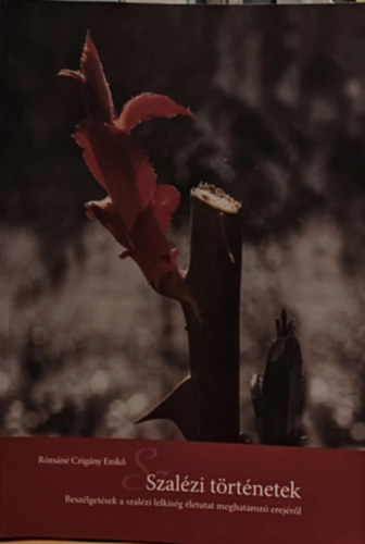 R�zs�n� Czig�ny Enik� - Szal�zi t�rt�netek - Besz�lget�sek a szal�zi lelkis�g �letutat meghat�roz� erej�r�l