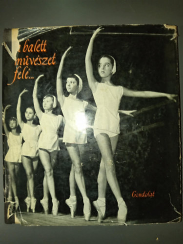 Kiss Ilona Mernyi Zsuzsa Aszals Kroly Bogdny Ferenc Hidas Hdi Dr. Lugossy Emma Ndasi Ferenc - A balettmvszet fel... (A felvteltl az oklevlig / A klasszikus tnctl a vvsig)