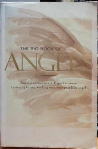 Wendy Schuman Belifnet - The big book of angels