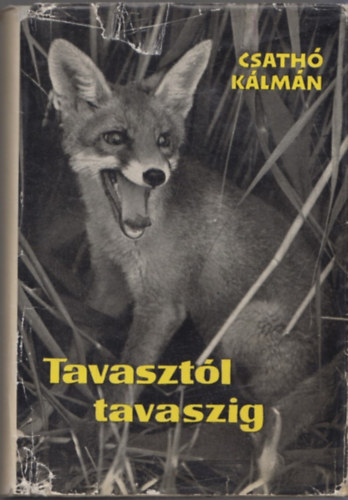 Csath Klmn - Tavasztl tavaszig