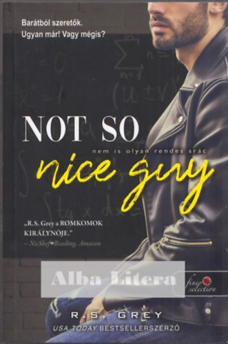 R.S. Grey - Not So Nice Guy - Nem is olyan rendes srác